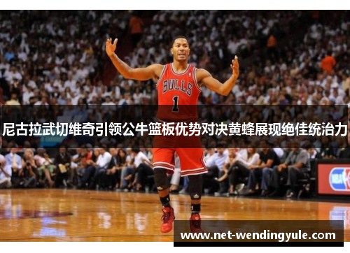 尼古拉武切维奇引领公牛篮板优势对决黄蜂展现绝佳统治力