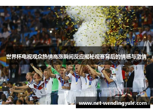 世界杯电视观众热情高涨瞬间反应揭秘观赛背后的情感与激情 世界杯电视观众热情高涨瞬间反应揭秘观赛背后的情感与激情