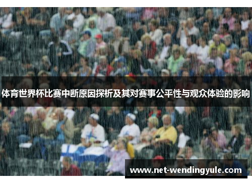 体育世界杯比赛中断原因探析及其对赛事公平性与观众体验的影响 体育世界杯比赛中断原因探析及其对赛事公平性与观众体验的影响