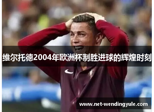 维尔托德2004年欧洲杯制胜进球的辉煌时刻 维尔托德2004年欧洲杯制胜进球的辉煌时刻