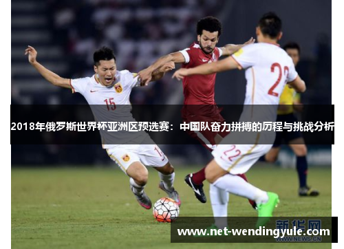 2018年俄罗斯世界杯亚洲区预选赛:中国队奋力拼搏的历程与挑战分析 2018年俄罗斯世界杯亚洲区预选赛:中国队奋力拼搏的历程与挑战分析