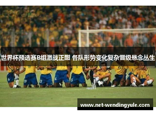 世界杯预选赛B组激战正酣 各队形势变化复杂晋级悬念丛生 世界杯预选赛B组激战正酣 各队形势变化复杂晋级悬念丛生