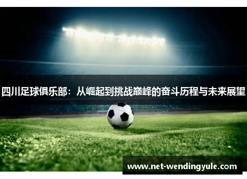 四川足球俱乐部:从崛起到挑战巅峰的奋斗历程与未来展望 四川足球俱乐部:从崛起到挑战巅峰的奋斗历程与未来展望