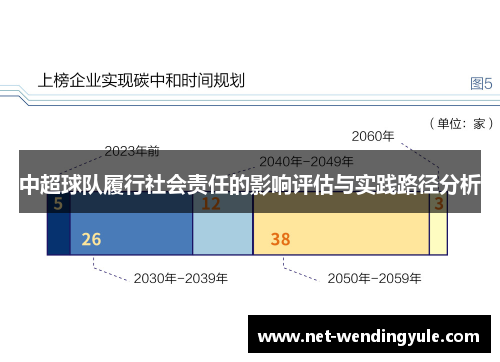 中超球队履行社会责任的影响评估与实践路径分析 中超球队履行社会责任的影响评估与实践路径分析