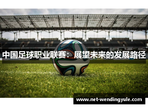 中国足球职业联赛:展望未来的发展路径 中国足球职业联赛:展望未来的发展路径