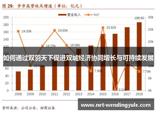 如何通过双羽天下促进双城经济协同增长与可持续发展 如何通过双羽天下促进双城经济协同增长与可持续发展