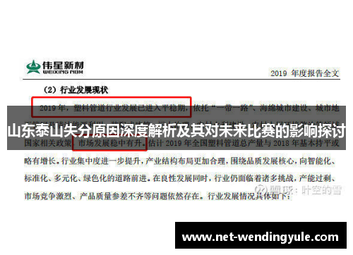 山东泰山失分原因深度解析及其对未来比赛的影响探讨