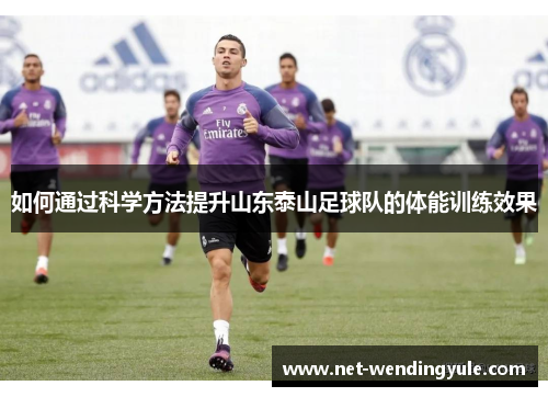 如何通过科学方法提升山东泰山足球队的体能训练效果
