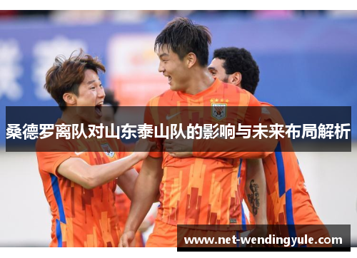 桑德罗离队对山东泰山队的影响与未来布局解析 桑德罗离队对山东泰山队的影响与未来布局解析