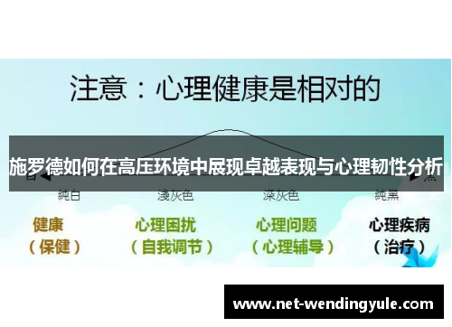 施罗德如何在高压环境中展现卓越表现与心理韧性分析 施罗德如何在高压环境中展现卓越表现与心理韧性分析