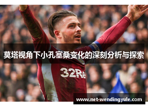 莫塔视角下小孔塞桑变化的深刻分析与探索 莫塔视角下小孔塞桑变化的深刻分析与探索