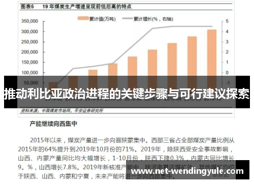 推动利比亚政治进程的关键步骤与可行建议探索