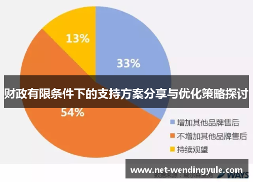 财政有限条件下的支持方案分享与优化策略探讨 财政有限条件下的支持方案分享与优化策略探讨