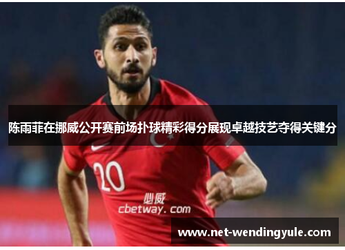 陈雨菲在挪威公开赛前场扑球精彩得分展现卓越技艺夺得关键分 陈雨菲在挪威公开赛前场扑球精彩得分展现卓越技艺夺得关键分