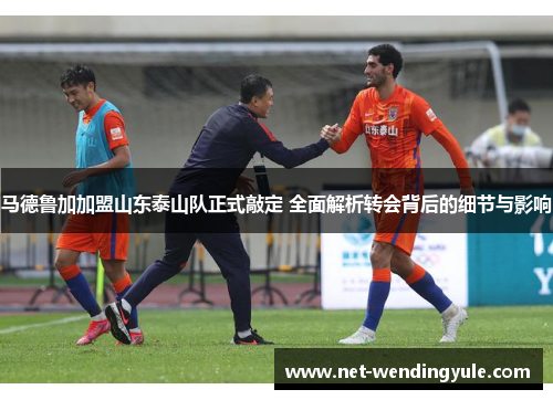 马德鲁加加盟山东泰山队正式敲定 全面解析转会背后的细节与影响 马德鲁加加盟山东泰山队正式敲定 全面解析转会背后的细节与影响