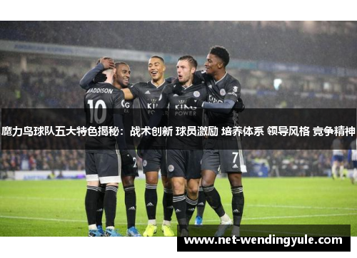 魔力鸟球队五大特色揭秘:战术创新 球员激励 培养体系 领导风格 竞争精神 魔力鸟球队五大特色揭秘:战术创新 球员激励 培养体系 领导风格 竞争精神