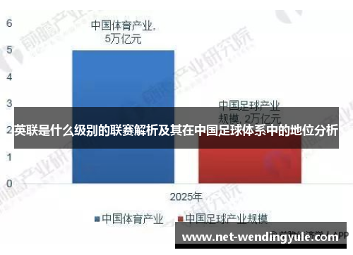 英联是什么级别的联赛解析及其在中国足球体系中的地位分析 英联是什么级别的联赛解析及其在中国足球体系中的地位分析