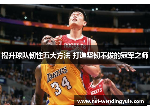 提升球队韧性五大方法 打造坚韧不拔的冠军之师 提升球队韧性五大方法 打造坚韧不拔的冠军之师