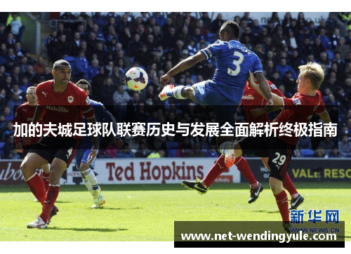 加的夫城足球队联赛历史与发展全面解析终极指南 加的夫城足球队联赛历史与发展全面解析终极指南